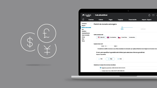 Aprende a solicitar tu moneda extranjera