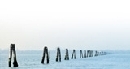 E:Palos mar