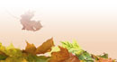 E:Hojas otoño